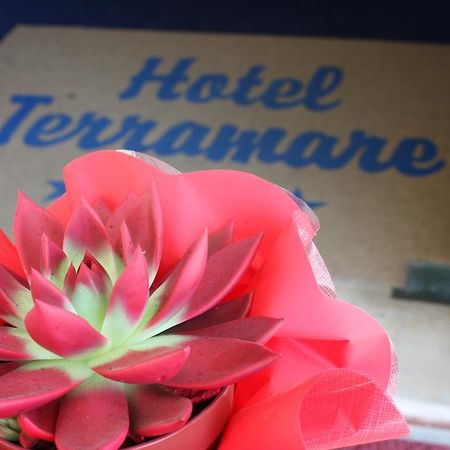 Hotel Terramare ليدو دي يسولو المظهر الخارجي الصورة