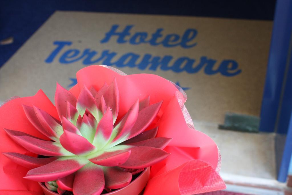 Hotel Terramare ليدو دي يسولو المظهر الخارجي الصورة